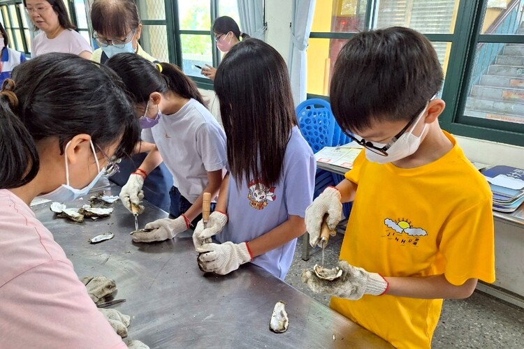 金湖國小的學生們親自體驗如何剖蚵